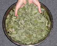 Catnip doesn't have the same effect on all cats.