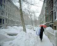 New York Winter (Yes, that's a car buried under snow.)