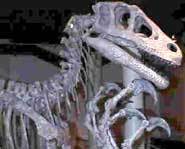 You can't outrun this dinosaur!
