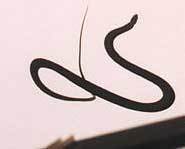 Looks like a flying S.