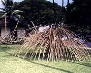 Not everyone can make these sculptures.