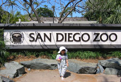 There are many family attractions at the San Diego Zoo.