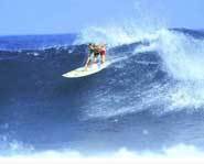 California Surfer Holly Beck riding a wave.