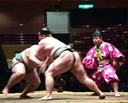 Sumo Wrestlers Wrestle for Supremacy