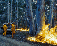Brush Fire and Firefighters