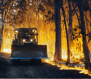 Brush Fire and Firefighters