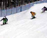 Boardercross Extreme Sports