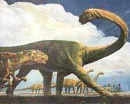 A hungry dino is given the evil eye.