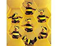Baby Bumblebees.