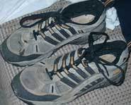 Smelling runners is part of the job.