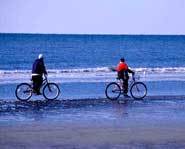 Biking is fun and good excercise.