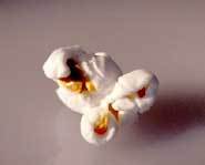 The popcorn's spirit leaves in a mad huff.
