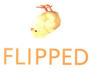 Fipped written by Wendelin Van Daaren is more than just a teen romance novel.