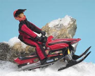 Picture of a Wild Ones extreme sports action figure.