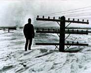 The snow almost is almost higher than the telephone poles.
