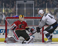 Picture of NHL goalie.