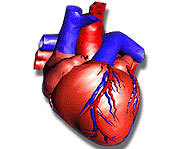 Heart disease is the number one cause of death in the US.