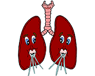 Red blood cells carry oxygen from your lungs to every cell in the body.