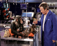 Photo of Tim Allen starring in Disney's The Shaggy Dog.