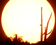 The Sun as it's seen from space