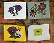 Glue pressed flowers onto homemade cards!