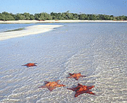 Cuba is made up of the Island of Cuba, Isle of Youth and several other small islands.