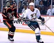 Photo of Teemu Selane of the Anaheim Ducks.