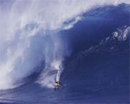 Photo of Pete Cabrinha riding the world's biggest wave.