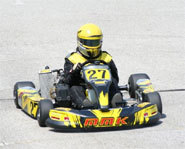 Picture of kart racing.