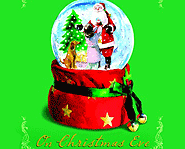 On Christmas Eve is written by Ann M. Martin.