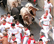 The Running of the Bulls takes place during the nine day festival of San Fermin in Spain.