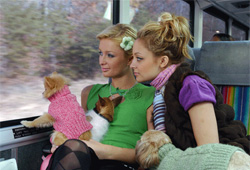Both Paris Hilton and Nicole Richie have been charged for drunk driving in the past.