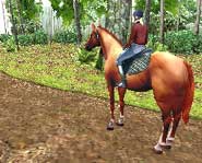 Raise, care for and ride your own virtual horse with the Horse Life video game for Nintendo DS! Check out the preview pics and video here.