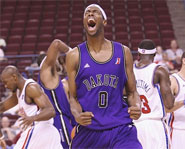 The NBDL is the official minor league system of the NBA.