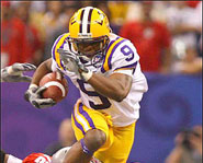 The LSU Tigers won the 2008 BCS national championship by defeating the Ohio State Buckeyes.