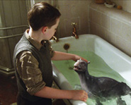 The Water Horse came out on DVD on April 8, 2008.