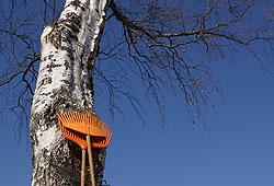Help clean up your neighborhood by doing yardwork and picking up garbage.