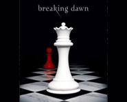 Breaking Dawn is the fourth book in the Twilight series.