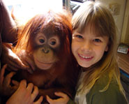 The second season of Bindi: The Jungle Girl premiers on Discovery Kids on September 27,2008.
