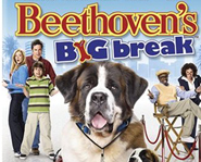 Beethoven's Big Break