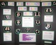 Can You Recognize a Person's Gender by Their Bare Feet?
