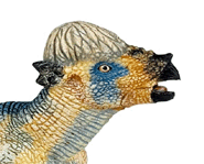 Pachycephalosaurus: Thick-Skulled Herbivore