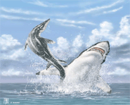 Cretoxyrhina Mantelli: Great White x 2