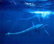 Elasmosaurus: Longest Plesiosaur