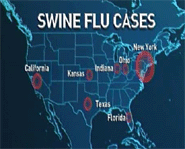 Swine Flu In America: The Facts