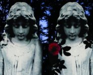 Prophecy of the Sisters by Michelle Zink