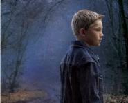 Gone From These Woods by Donny Bailey Seagraves