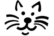 Cute Cat