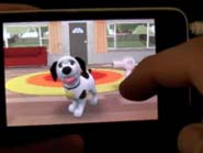 Touch Pets Dogs