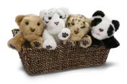Alive Minis
